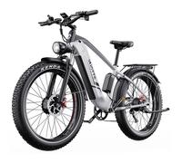 Vélo électrique DUOTTS F26 Dual Moteur 750W Batterie 48V 20Ah 50KM/h Autonomie 40-100KM Shimano 7V Pneu 26"" VTT Fat Bike Silver
