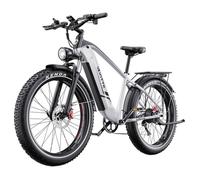 Vélo Électrique DUOTTS F26 Lite - Moteur 500W - Batterie 48V18Ah - Pneus 26 x 4 Pouces - Autonomie 90km - Freins Disque