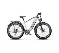 Vélo électrique DUOTTS F26Lite, 26"" Fatbike, 48 V 18 Ah, argent