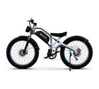 Vélo Electrique N26, 750w*2, Batterie Amovible 48v 20ah, Bleu