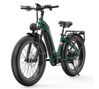 Vélo électrique ECOWORLD V6 PRO, Moteur 750W Batterie 48V20AH Accélérateur de pouce + Capteur booster, 26*4.0 Pneus Neige, Vert
