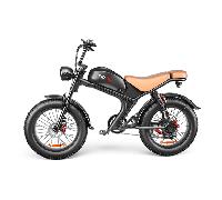 Vélo électrique Emoko C93 48 V 20 pouces gros pneu moteur 1000 W 20 Ah double frein à suspension-Brun