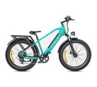 Vélo Électrique ENGWE E26 - 250W 768WH Autonomie 140KM Freins à Disque - Bleu Bleu G