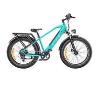 Vélo électrique ENGWE E26, batterie 48 V 16 Ah, moteur 250 W, Shimano 7 vitesses, portée maximale de 140 km E26 vert