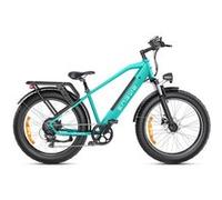 Vélo électrique ENGWE E26, Fat e-bike, Max 25 km/h, Jaune Jaune