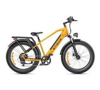 Vélo électrique ENGWE E26, Fat e-bike, Max 25 km/h, Vert Vert