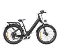 Vélo Électrique ENGWE E26 Step-thru - 250W 768WH Autonomie 140KM Freins à Disque - Gris Gris G