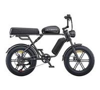 Vélo électrique ENGWE M1, Dual Batterie, pour Deux Passagers, Max 25 km/h, Noir Noir