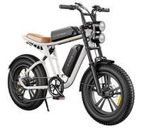 Vélo Électrique ENGWE M20 26AH 750W 1248WH Double batterie 120KM d'Autonomie Blanc Blanc