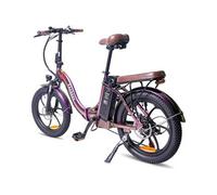 Vélo Electrique F20 Pro 20 Gros Pneu 36V18AH 250W Violet