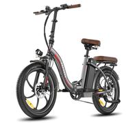Vélo Électrique FAFREES F20+ Pro - Moteur 250W Batterie 36V22.5Ah Pneus De 20 Pouces Frein à Disque Mécanique - Gris