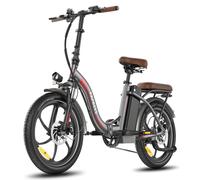 Vélo Électrique FAFREES F20+ Pro - Moteur 250W Batterie 36V22.5Ah Pneus De 20 Pouces Frein à Disque Mécanique - Gris