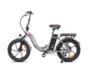 Vélo Électrique FAFREES F20 Pro - Moteur 250W Batterie 648WH Autonomie 80KM - Gris