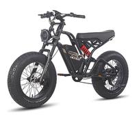 Vélo Électrique FAFREES F20 ULTRA - Motor 1200W - 48V/25Ah LG Batterie,Tout Terrain VTT Électrique 20*5.0"" Fat Pneu, Autonomie