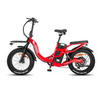 Vélo électrique FAFREES F20 X-MAX - Moteur 750W Batterie 48V30AH Assisted Autonomie 180KM Frein à Disque Hydraulique - Rouge