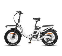 Vélo électrique FAFREES F20 X-MAX - Moteur 750W Batterie 48V30AH Assisted Autonomie 180KM Frein à Disque Hydraulique - Blanc