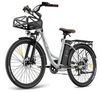 Vélo électrique Fafrees F26 Lasting, moteur 250 W, batterie 20,3 Ah - gris gris G