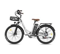 Vélo électrique FAFREES F26 Lasting - Moteur 250W Batteries 36V25Ah 26x1.95 Pouces Pneus Freins à Disque Mécaniques - Gris