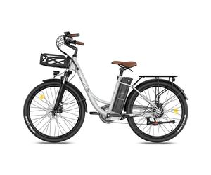 Vélo électrique FAFREES F26 Lasting - Moteur 250W Batteries 36V25Ah 26x1.95 Pouces Pneus Freins à Disque Mécaniques - Gris