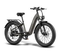 Vélo électrique FAFREES F26 ROVER - Batterie 48 V 20 Ah, moteur 250 W - Noir
