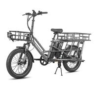 Vélo électrique Fafrees FF20 CUV - Moteur 250 W - 2 batteries doubles 12 Ah - avec panier arrière - Gris