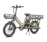 Vélo électrique Fafrees FF20 CUV - Moteur 250 W - 2 batteries doubles 12 Ah - avec panier arrière - Vert