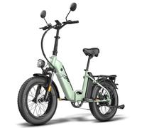 Vélo Électrique FAFREES FF20 Polar - Moteur 500W Batterie 48V24Ah Pneus De 20 Pouces Frein à Disque Mécanique - Vert