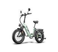 Vélo Electrique FF20 Polar - Moteur 500W Batterie 48V13.4*2AH 20" Frein à Disque Hydraulique - Vert