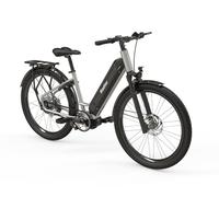 Vélo électrique français Radior Colibri 250W 75Nm cadre bas moyeu Enviolo Taille unique
