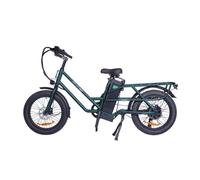 VéLo Électrique GF200 | Vitesse Max 45 km/h | Autonomie 60-80 km | Moteur 500W | Batterie 48V 15.6Ah | Pneus 20 Pouces | Vert