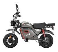 Vélo Electrique Y18 - Tout-Terrain 15", Batterie 48V 20Ah, NFC, Gris
