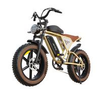 Vélo électrique JANSNO X70 750W 48V14Ah