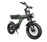 Velo Électrique JANSNO X90 - Double Suspension - 750W Moteur - Batterie 48V 14AH - Autonomie 45 KM - Pneus Neige 16 Pouces - Vert