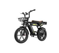 VéLo Électrique KOOLUX X9 PRO | Vitesse Max 25 km/h | Autonomie 100 km | Moteur 750W | Batterie 48V 15.6Ah*2 | Pneus 20 Pouces | Noir