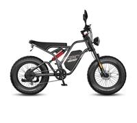 Vélo Électrique L1e-B Fafrees F20 Ultra - 48V 750W 25Ah, Fat Bike 20×5.0”, Noir