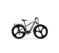 Vélo électrique M520, 29 po, batterie LG 48V 14Ah, Max 40km/h, gris