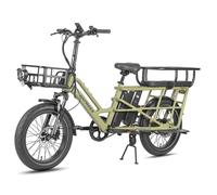 Vélo électrique multifonction Fafrees FF20 CUV - Moteur 250 W - 2 batteries doubles 12 Ah - Avec cadre enfant arrière - Vert
