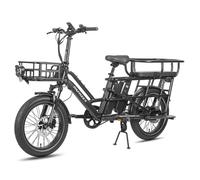 Vélo électrique multifonction Fafrees FF20 CUV - Moteur 250 W - 2 batteries doubles 12 Ah - Avec cadre enfant arrière - Noir