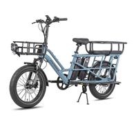 Vélo électrique multifonction Fafrees FF20 CUV - Moteur 250 W - 2 batteries doubles 12 Ah - Avec cadre enfant arrière - Bleu