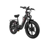 Vélo électrique Nathaniel SYR08 à double moteur - Batterie amovible 48 V 20 Ah - Noir