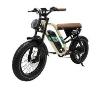 Vélo électrique Onesport W66 : moteur de 500 W, batterie 48 V 13,5 Ah, vitesse 25 km/h, autonomie 80 à 100 km, freins hydrauliques