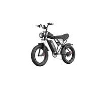 Vélo électrique pliable Ridstar Q20, pneus larges 20 pouces, moteur 1000 W, batterie 48 V 20 Ah, freins à disque hydrauliques
