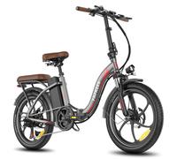 Vélo électrique pliant Fafrees F20+ Pro, moteur 250 W, batterie 36 V 25 Ah, pneus 20 x 3 pouces - gris