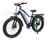 Vélo électrique pour hommes, Ebike ECO R1 avec batterie 48 V 13 Ah, vélos électriques 26 x 4 pouces, moteur 250 W et vitesse 25 km/h, VTT électrique 7 vitesses avec écran LCD, autonomie maximale 100 k