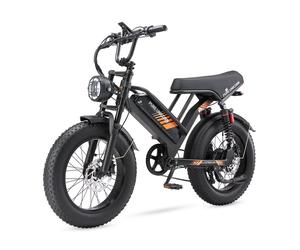 Vélo électrique Pure Unicorn U5, 1 000 W, pneus larges de 20 pouces, VTT pour adulte, batterie 48 V 19,2 Ah