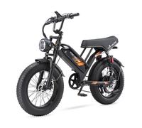 VéLo éLectrique PURE UNICORN U5 Pour Adulte, Moteur 1000 W, Pneus Larges 20 Pouces, Batterie 48 V 19,2 Ah