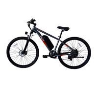 Vélo Électrique PVY M29, Batterie 48V 17,5Ah, 29"", App Intelligente, Gris
