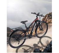 Vélo électrique Randride YG90B-29 1000 W 48 V 17 Ah 29*2,1"" Frein à disque hydraulique 21 vitesses 75 N·m 40-50 km 45 km/h