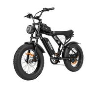 Vélo Électrique Ridstar Q20 - Moteur 500w Batterie 48v15ah Pneus 20" Freins À Disque Mécaniques - Noir