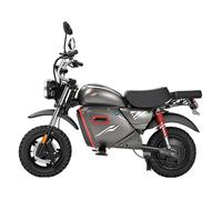 Vélo Électrique Scooter Y18 - Tout-Terrain 15"", Batterie 48V 20Ah, NFC, Gris